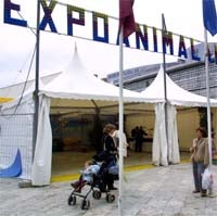 «Expoanimalandia», clausurada por falta de licencia e higiene