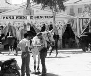 Utrera: La ausencia de incidentes graves contribuye al éxito de la Feria que hoy termina