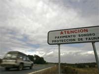 La Junta soterrará tramos de las carreteras de Doñana para evitar el atropello de linces
