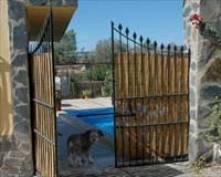 Una joven sevillana fue estrangulada en Jaén por su pareja