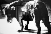 Daido Moriyama en el CAAC