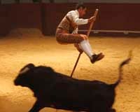 La X Feria Mundial del Toro comienza con un espectáculo de luz, música, caballos y toros bajo el dominio del hombre