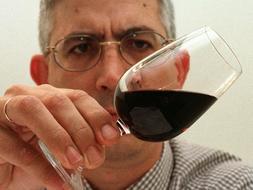Sevilla acogerá el Concurso Internacional de Vinos Espirituosos Cinve 2008