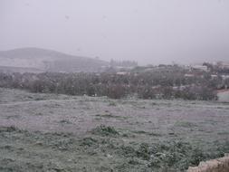 Envíanos tu foto de la nieve