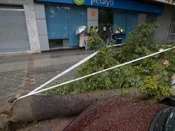 Los servicios municipales realizan más de 500 actuaciones por el temporal