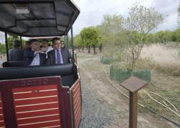 La Junta respalda al Ayuntamiento en su afán por hacer Tablada zona verde