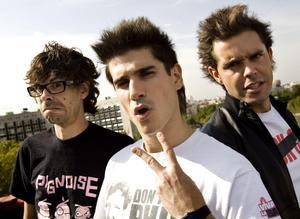 Plante del grupo Pignoise en medio de un concierto