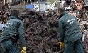 Cuatro detenidos por robar 252 metros de cable de cobre