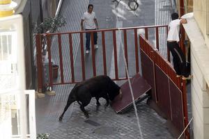 Suspenden el rodaje de la película «Knight &amp; Day» en Cádiz al escaparse siete toros