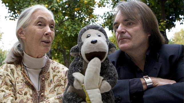Jane Goodall: «Me encanta la gente pero echo de menos la soledad de la selva»