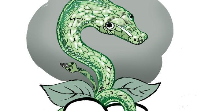 Reptiles en la niebla