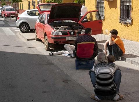 Epitafio a los pajaritos del alcalde