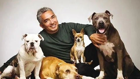 César Millán, el entrenador canino más famoso del mundo