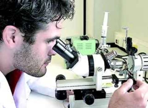 Sevilla tendrá un laboratorio para analizar los nanomateriales