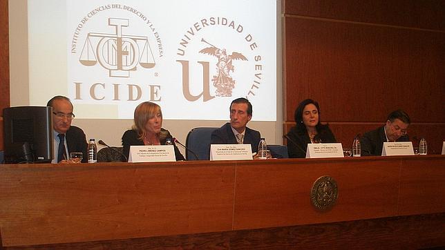Jornada de de trabajo del Icide y la Universidad de Sevilla