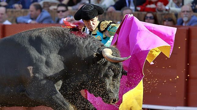 Javier Castaño: «Mi primero ha sido un toro tardo con el que había que apostar»