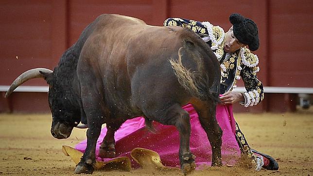 Álvaro Núñez: «Esto es una constante cura de humildad»