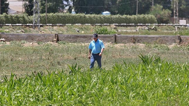 Crespo: «Seguiremos buscando el cuerpo de Marta del Castillo»