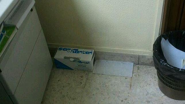 Los funcionarios de los juzgados huyen de las ratas