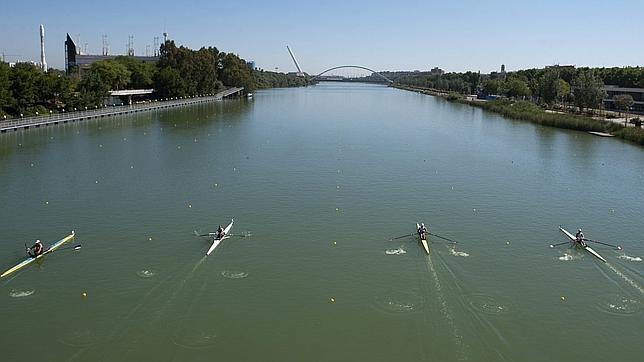 La Junta alega que el puente de Cartuja «dificultaría» la práctica de deportes