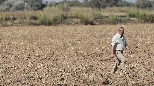 Finaliza sin éxito la búsqueda de Marta del Castillo en la finca Majaloba de La Rinconada
