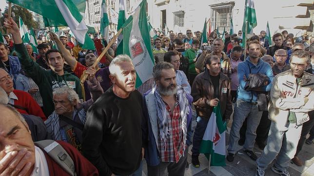 Gordillo y Cañamero no asisten al juicio y niegan delitos por ocupación finca