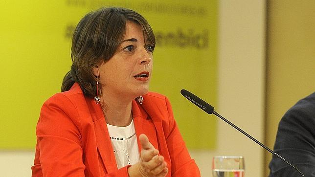 La Junta pedirá al Constitucional que levante la suspensión cautelar de la ley «antidesahucios» y que no se ejecuten más