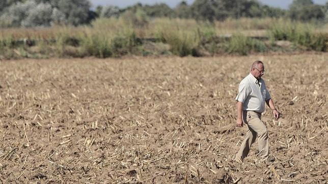 Antonio del Castillo comparecerá para opinar sobre la reforma del Código Penal