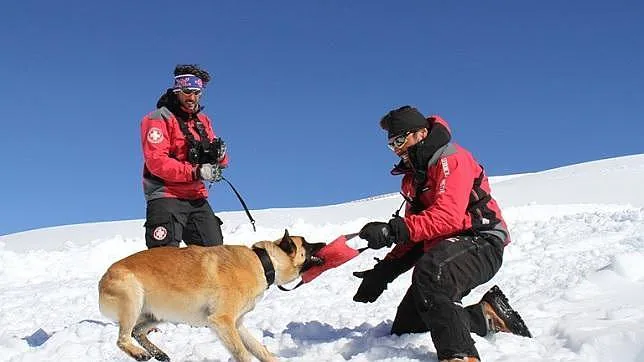 Sierra Nevada es la primera estación española con un perro adiestrado en rescate