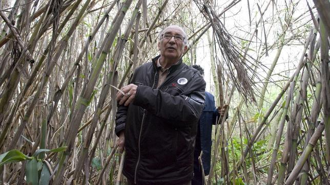 Los restos de Camas «parecen humanos» según el abuelo de Marta del Castillo