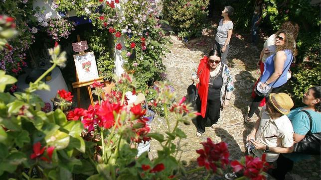¿Cuáles son los patios más premiados de la historia del concurso?