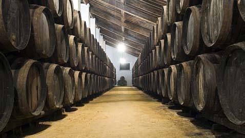 La Diputación de Sevilla reconoce la labor de Bodegas Salado