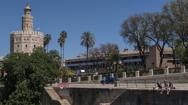 Las imágenes más bellas de «Somos Sevilla», de Francisco Robles