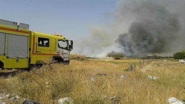 Bomberos sofocan un peligroso incendio de pastos en Jerez