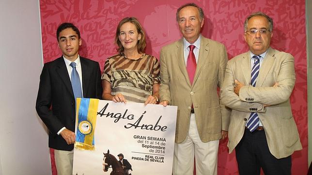 Más de 200 ejemplares en la Semana del caballo anglo-árabe en Sevilla