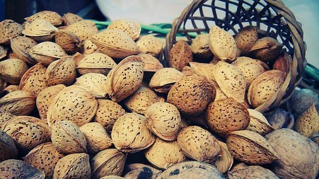 La provincia bate el récord de recolección de almendra