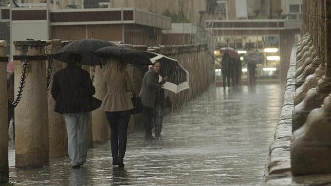 El temporal de lluvia y viento deja sesenta incidencias en la provincia de Sevilla