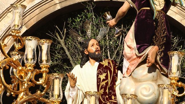 Los árboles de la Semana Santa de Córdoba