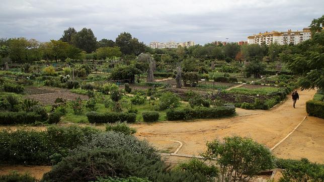 Parque Miraflores