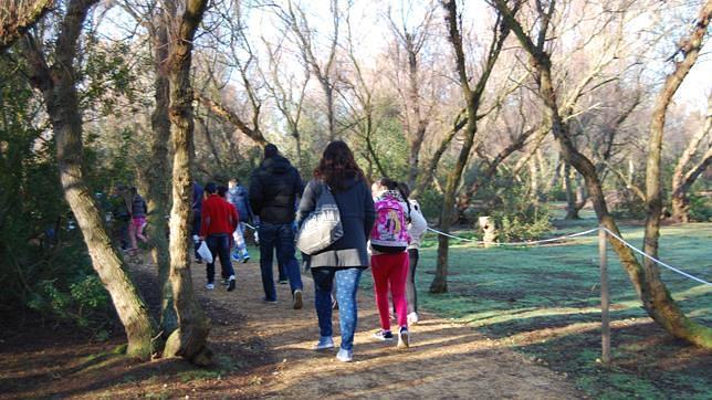 La laguna de Fuente del Rey busca entrar en la red de humedales de Andalucía