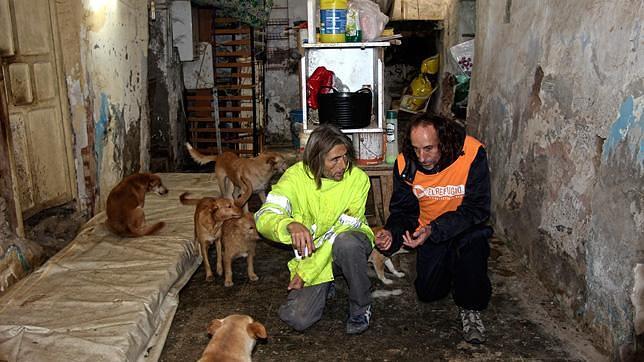 Vivía junto a una docena de perros en una pequeña barraca de Adra, en Almería