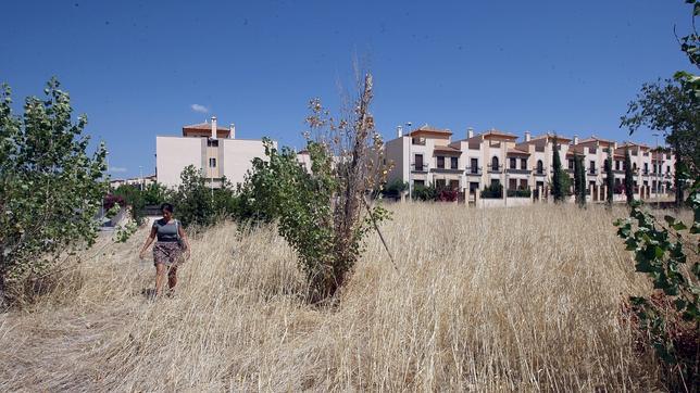 Un juzgado exime al Ayuntamiento de pagar la urbanización de Mirabueno