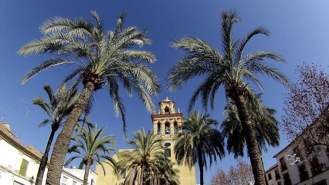 El alcalde acusa a Cultura de querer paralizar la reforma de San Agustín