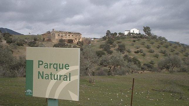 Un pequeño terremoto sobresalta a Cardeña