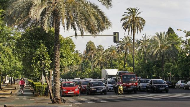 Un «héroe anónimo» la salvó de una agresión sexual en la avenida de la Palmera