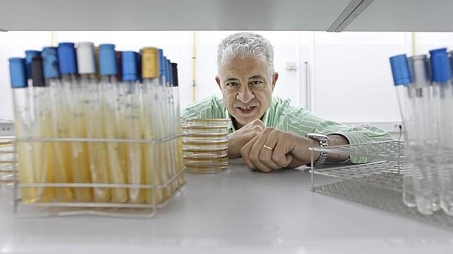 «La limpieza en un hospital para evitar la klebsiella es crucial»