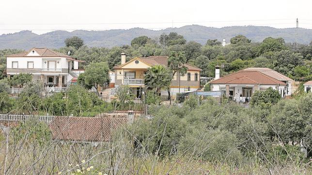 El disputado voto del parcelista