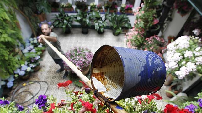 Unos Patios engalanados que esperan más visitantes que nunca