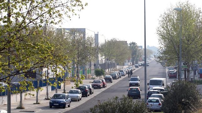 Una plaga de moscas afecta a parte del polígono de Las Quemadas