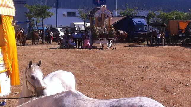 Los romeros llegan a Écija y rinden culto a la Virgen del Valle